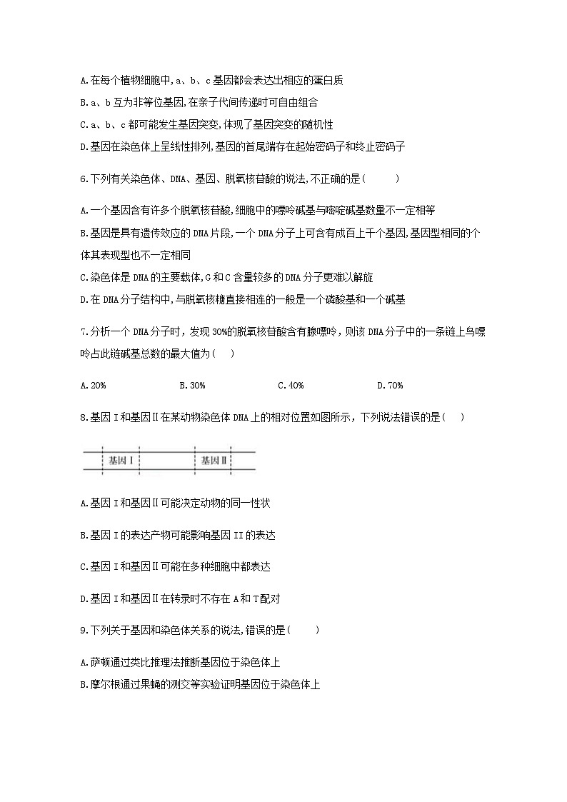 高中生物暑假作业09基因通常是有遗传效应的DNA片段基础训练含解析第2页