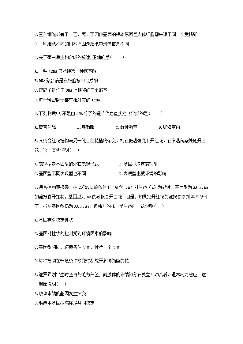 高中生物暑假作业11基因表达与性状的关系基础训练含解析第2页