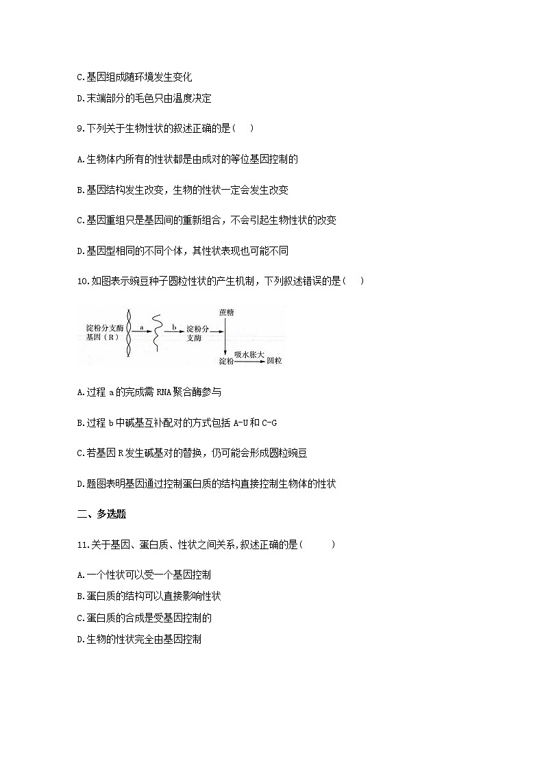 高中生物暑假作业11基因表达与性状的关系基础训练含解析第3页