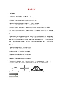 高中生物暑假作业13染色体变异基础训练含解析