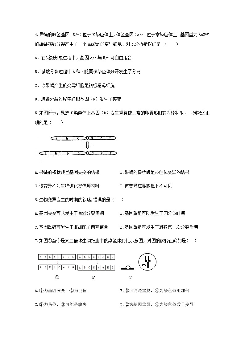 高中生物暑假作业13染色体变异基础训练含解析第2页