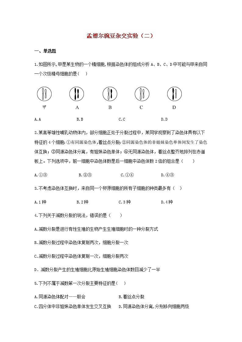 高中生物暑假作业02孟德尔的豌豆杂交实验二能力提升含解析第1页