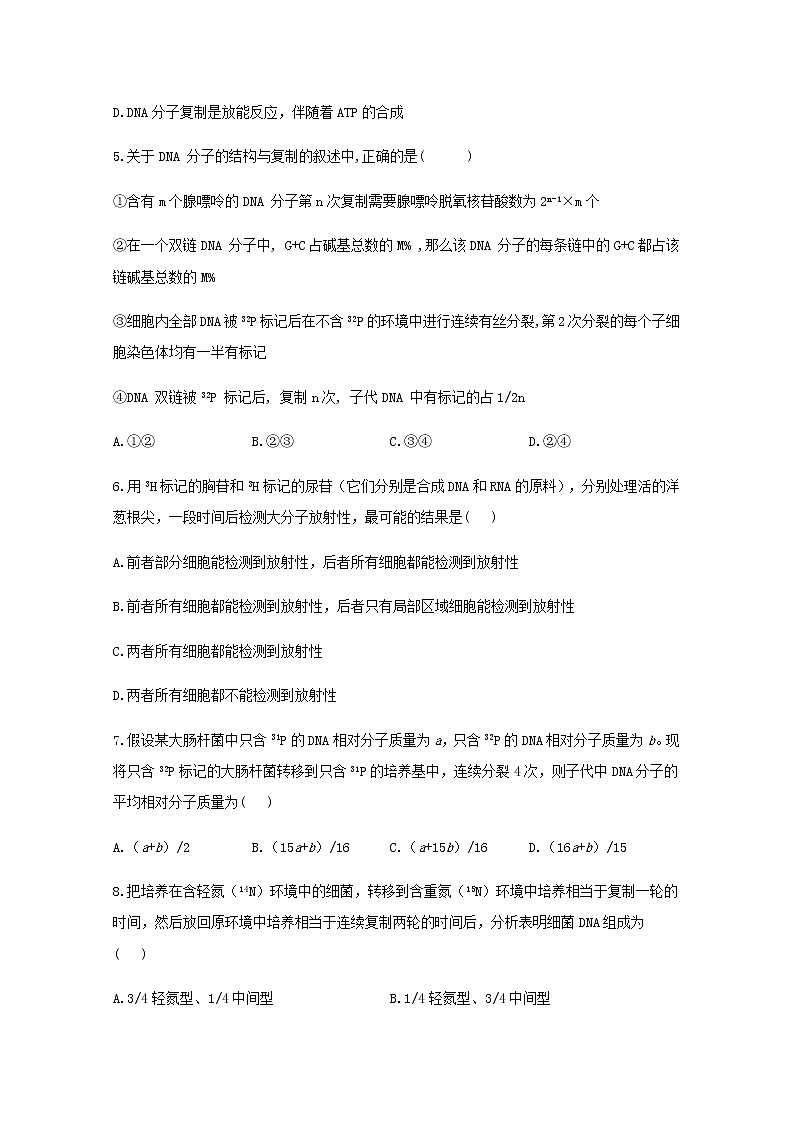 高中生物暑假作业08DNA的复制能力提升含解析第2页