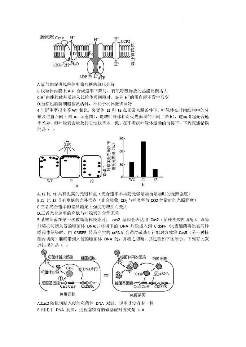 2022届山东省德州市高三下学期4月联合质量测生物试卷（PDF含答案）02