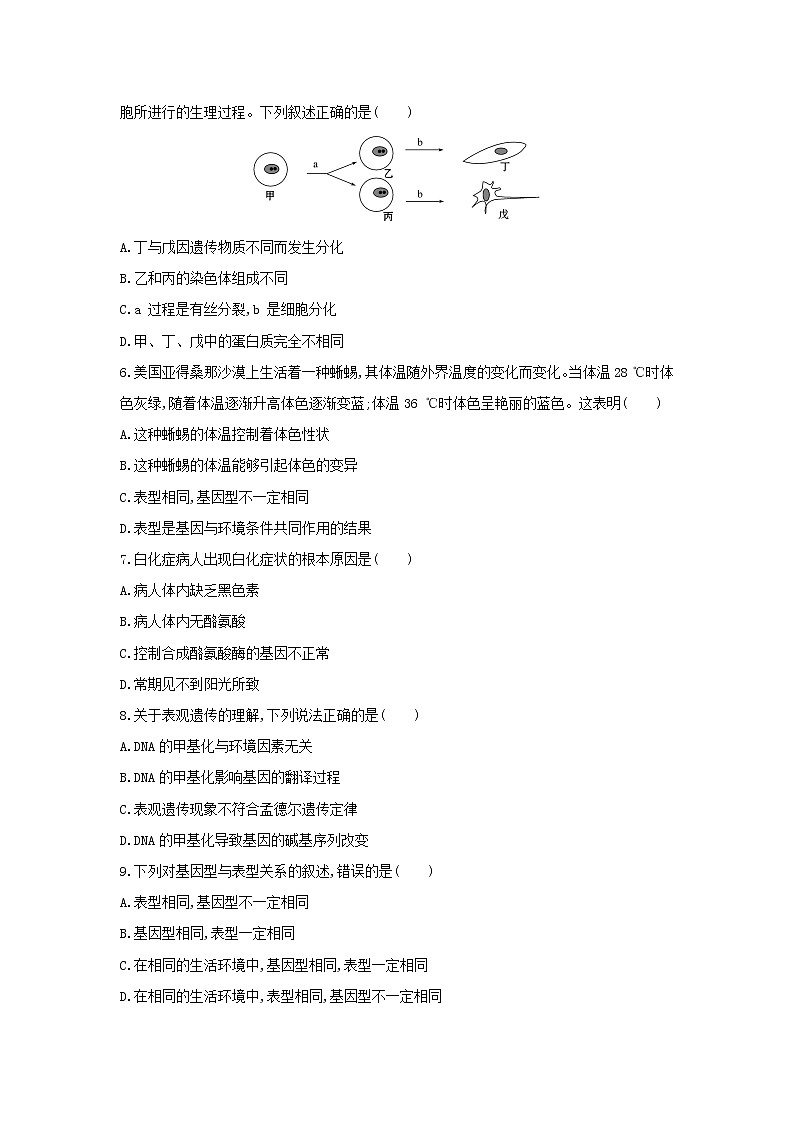 新教材高中生物暑假作业第12天基因表达与性状的关系含解析第2页