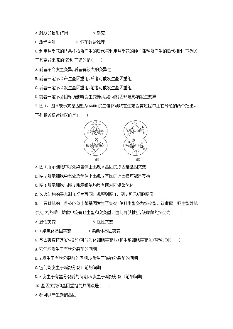 新教材高中生物暑假作业第13天基因突变和基因重组含解析第2页