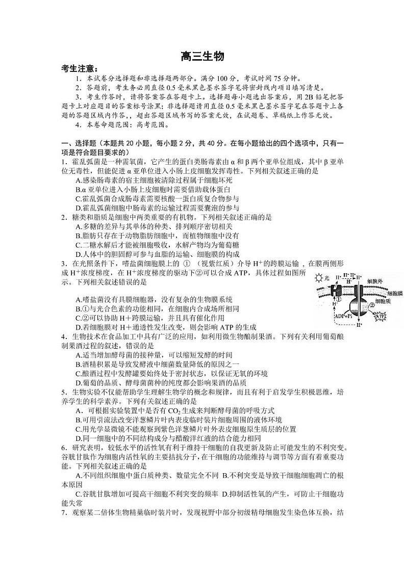 2023届湖北省名校联盟高三摸底联考（新高考）生物试题含答案01