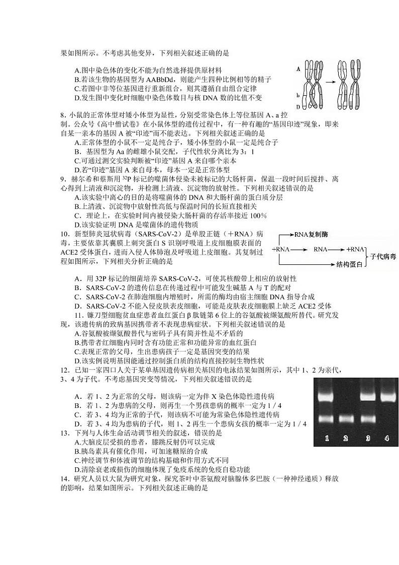 2023届湖北省名校联盟高三摸底联考（新高考）生物试题含答案02