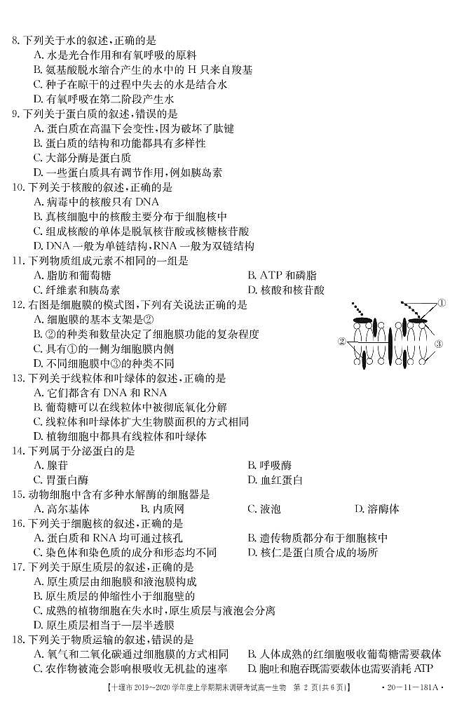 2019-2020学年湖北省十堰市高一上学期期末调研考试生物试题   PDF第2页