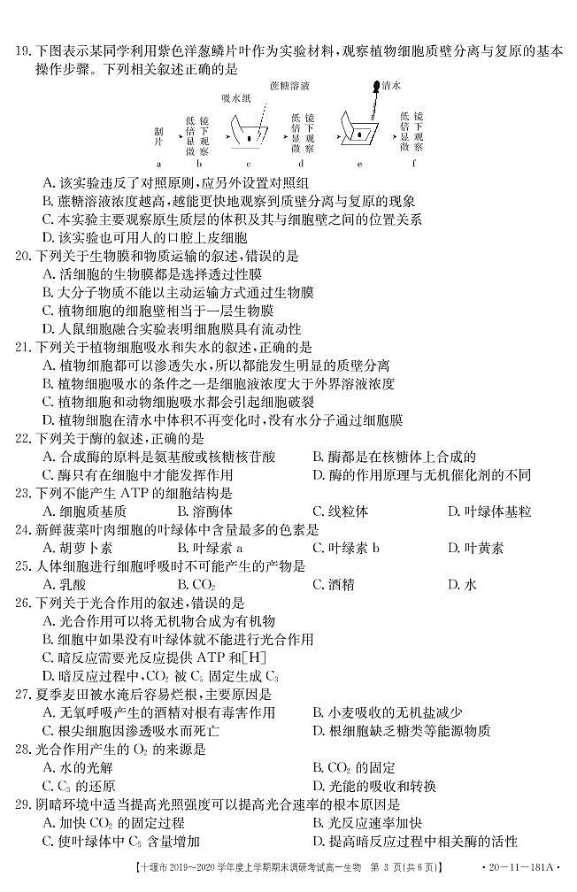 2019-2020学年湖北省十堰市高一上学期期末调研考试生物试题   PDF第3页