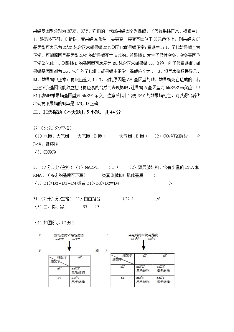 2017-2018学年浙江省温州市十五校联合体高二下学期期末联考生物试题 PDF版02