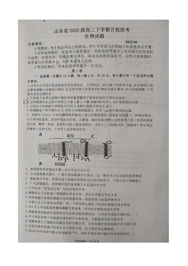2022山东省百校联考高二下学期期末考试生物试题图片版无答案01