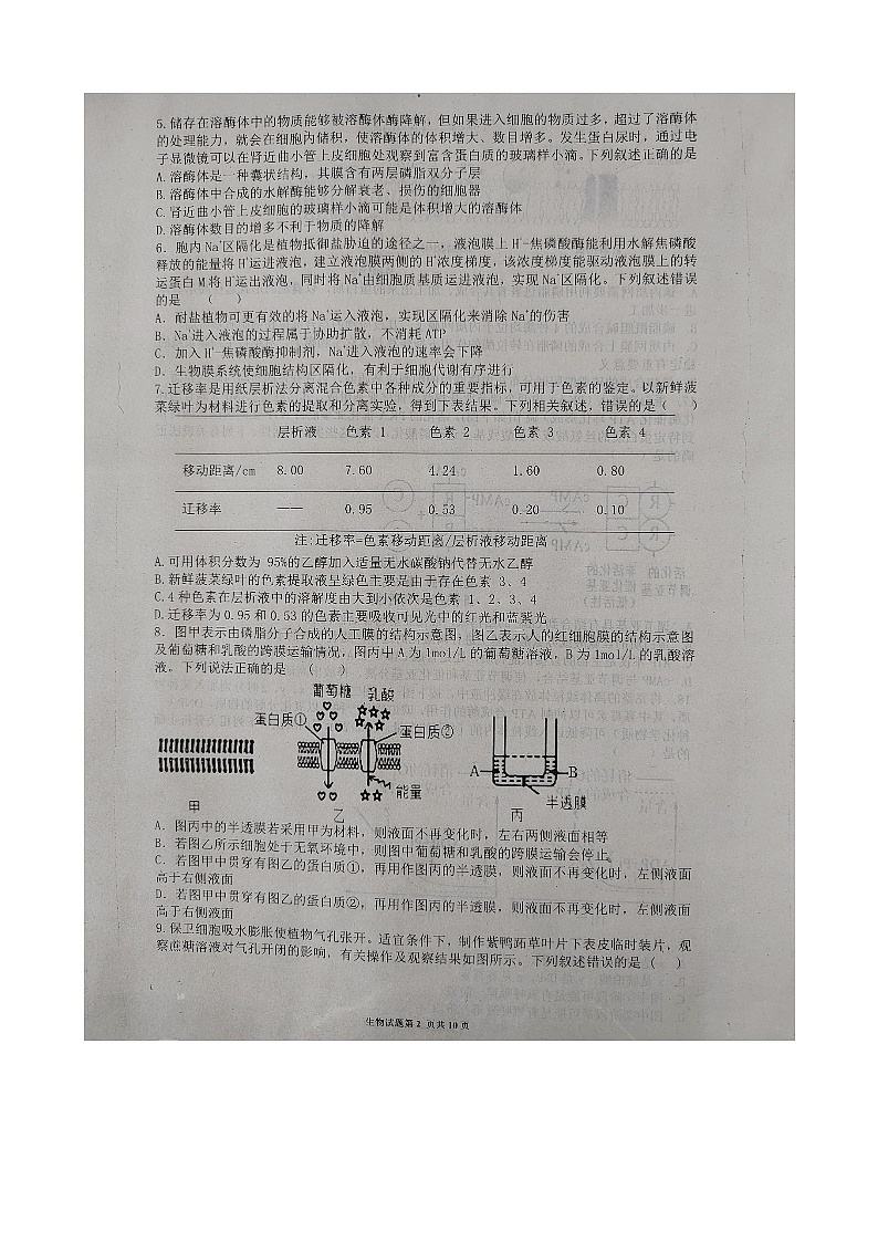 2022山东省百校联考高二下学期期末考试生物试题图片版无答案02