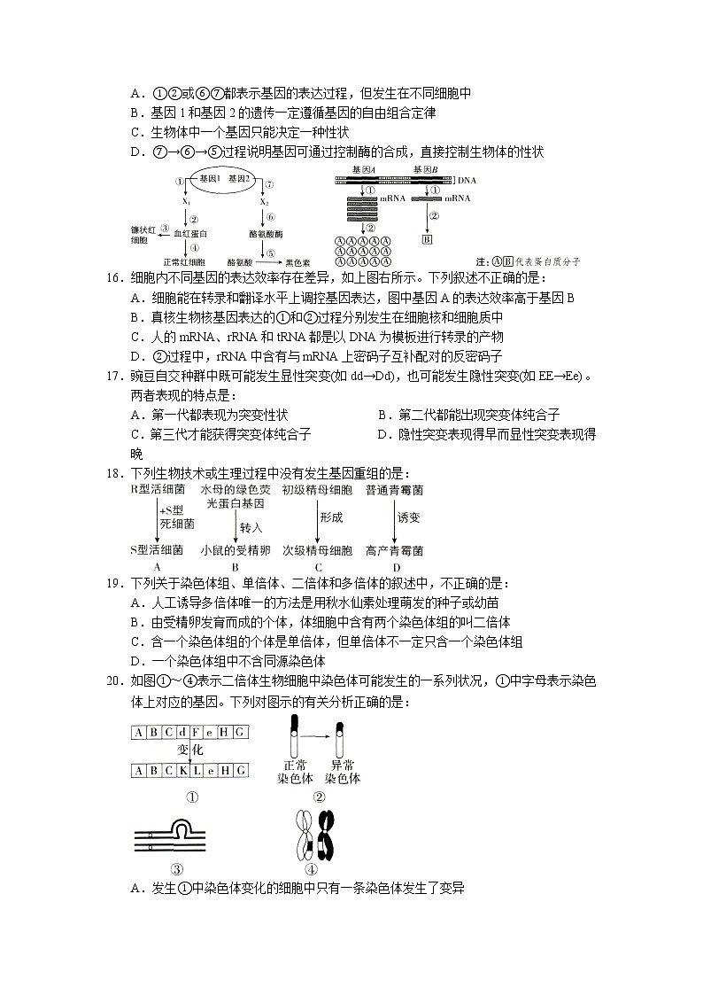 2022岳阳临湘高一下学期期末生物试卷含答案03