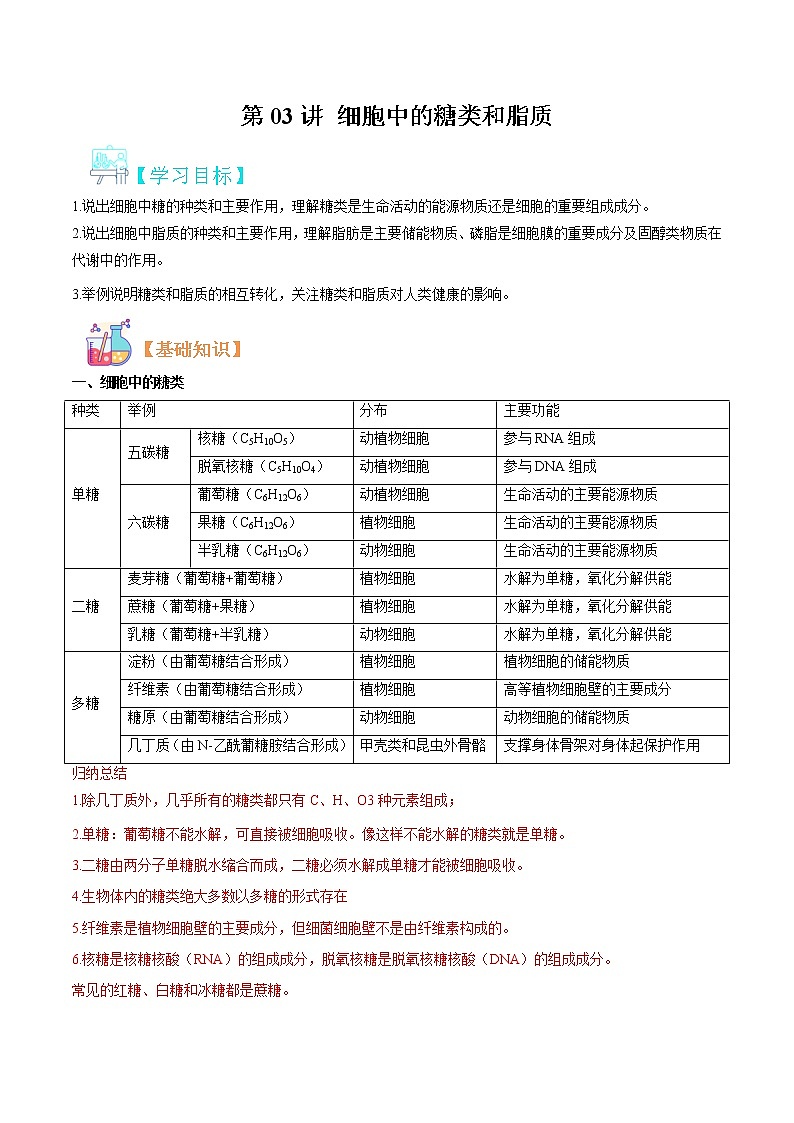 第03讲 细胞中的糖类和脂质-【暑假自学课】2022年新高一生物暑假精品课（人教版2019必修1） 试卷01