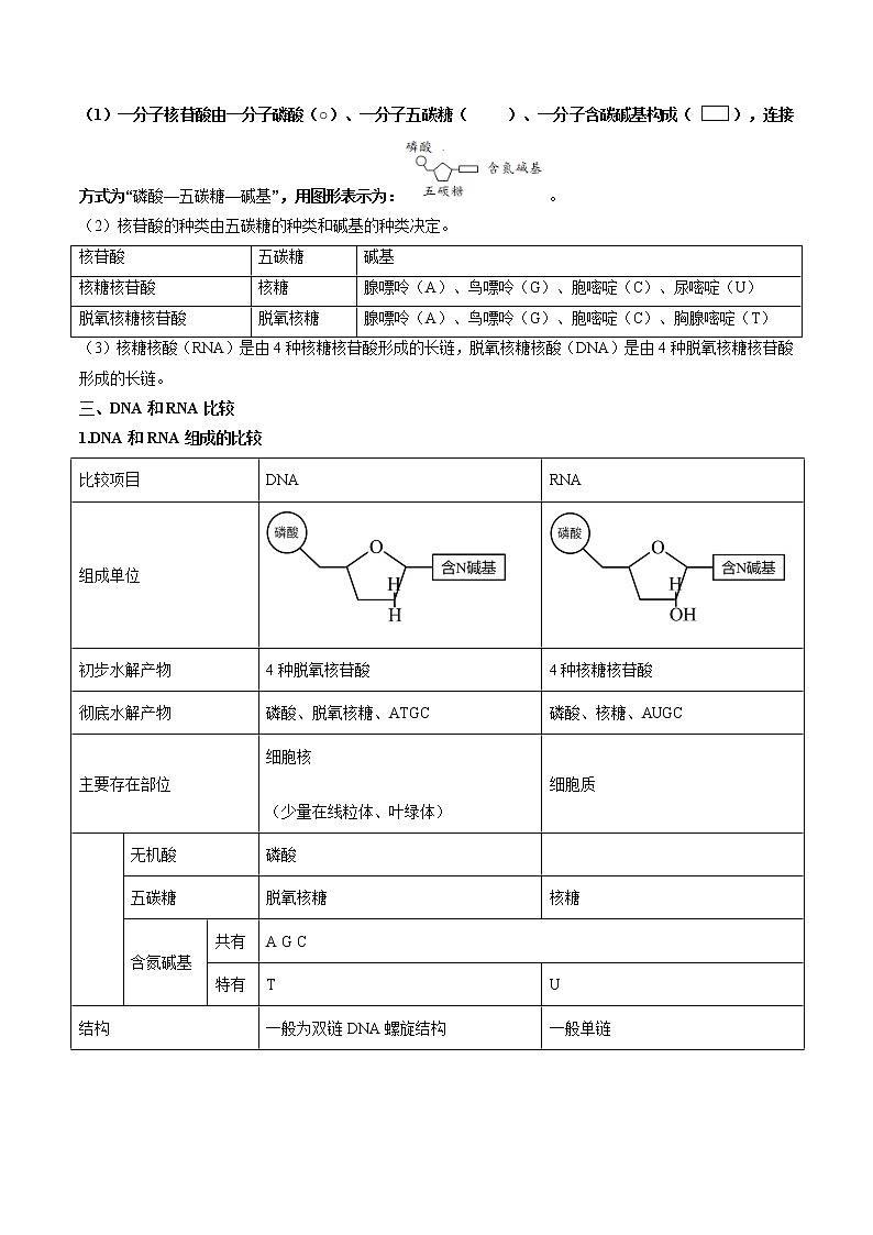 第05讲 核酸是遗传信息的携带者-【暑假自学课】2022年新高一生物暑假精品课（人教版2019必修1） 试卷02