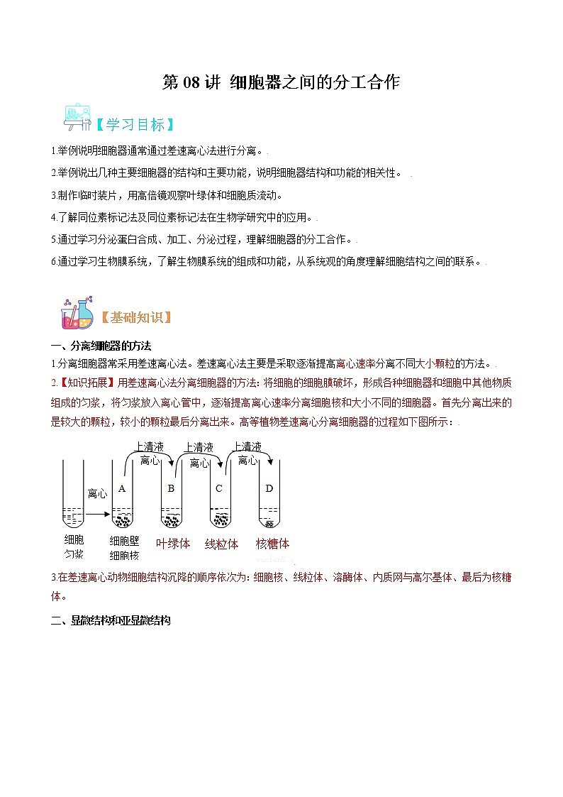第08讲 细胞器之间的分工合作-【暑假自学课】2022年新高一生物暑假精品课（人教版2019必修1） 试卷01