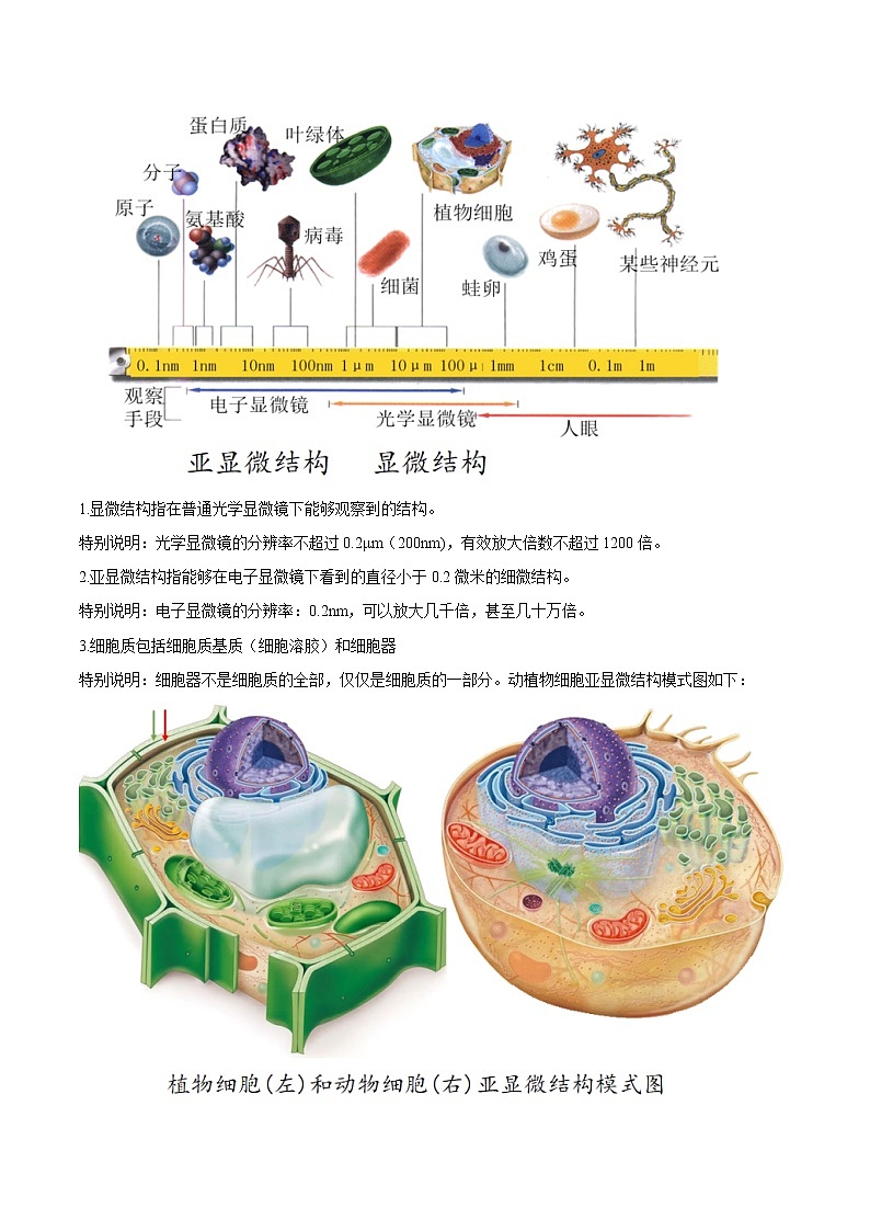 第08讲 细胞器之间的分工合作-【暑假自学课】2022年新高一生物暑假精品课（人教版2019必修1） 试卷02