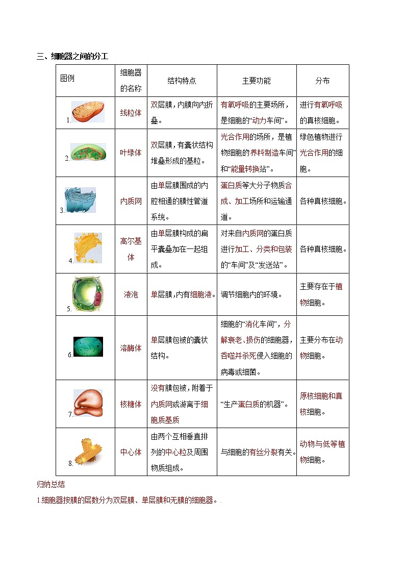 第08讲 细胞器之间的分工合作-【暑假自学课】2022年新高一生物暑假精品课（人教版2019必修1） 试卷03