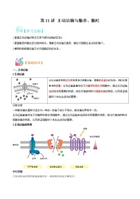 第11讲 主动运输与胞吞、胞吐-【暑假自学课】2022年新高一生物暑假精品课（人教版2019必修1）