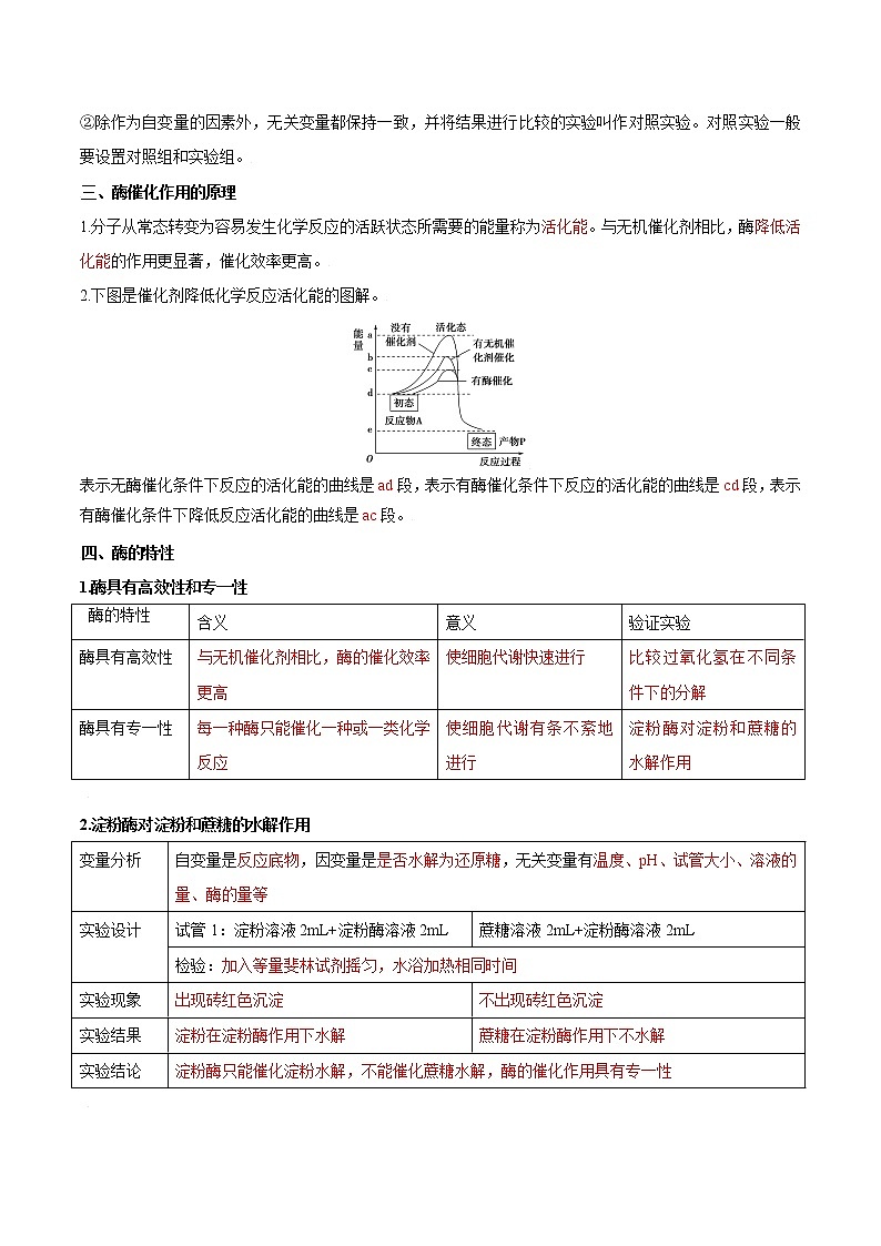第12讲 降低化学反应活化能的酶-【暑假自学课】2022年新高一生物暑假精品课（人教版2019必修1） 试卷02