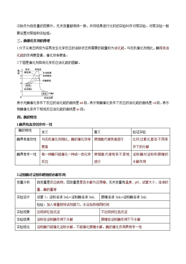 第12讲 降低化学反应活化能的酶-【暑假自学课】2022年新高一生物暑假精品课（人教版2019必修1） 试卷02