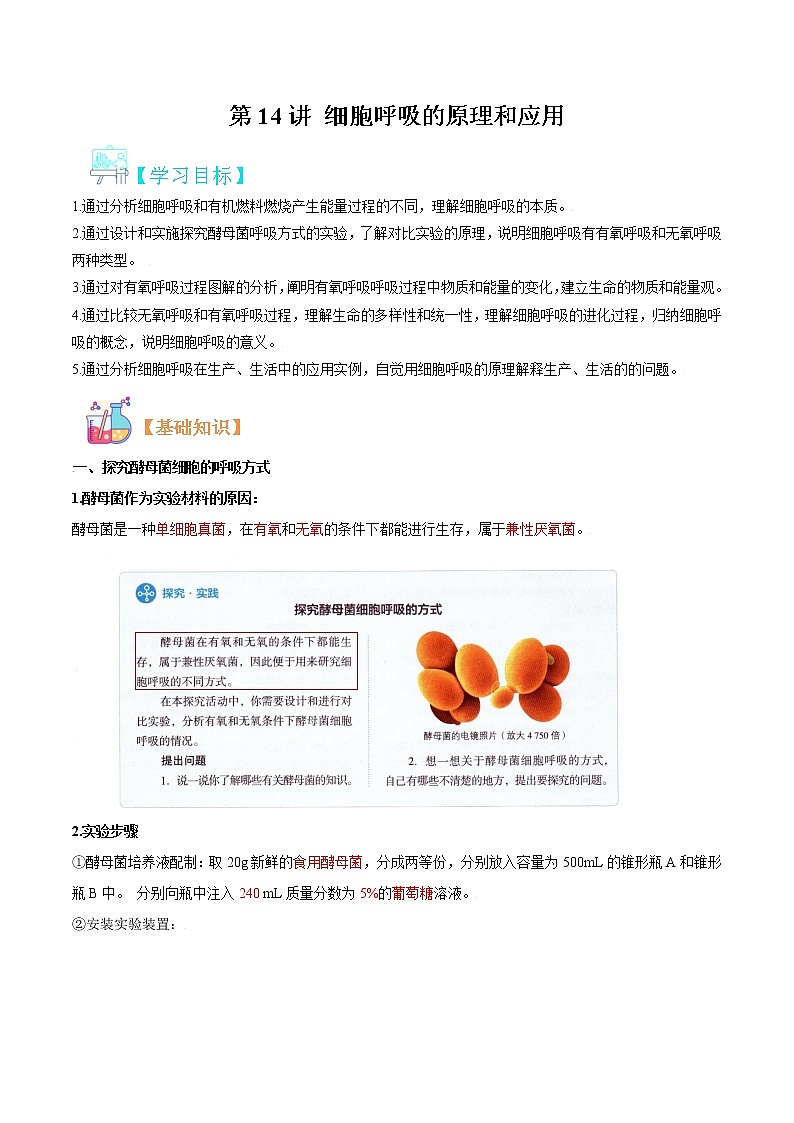 第14讲 细胞呼吸的原理和应用-【暑假自学课】2022年新高一生物暑假精品课（人教版2019必修1） 试卷01