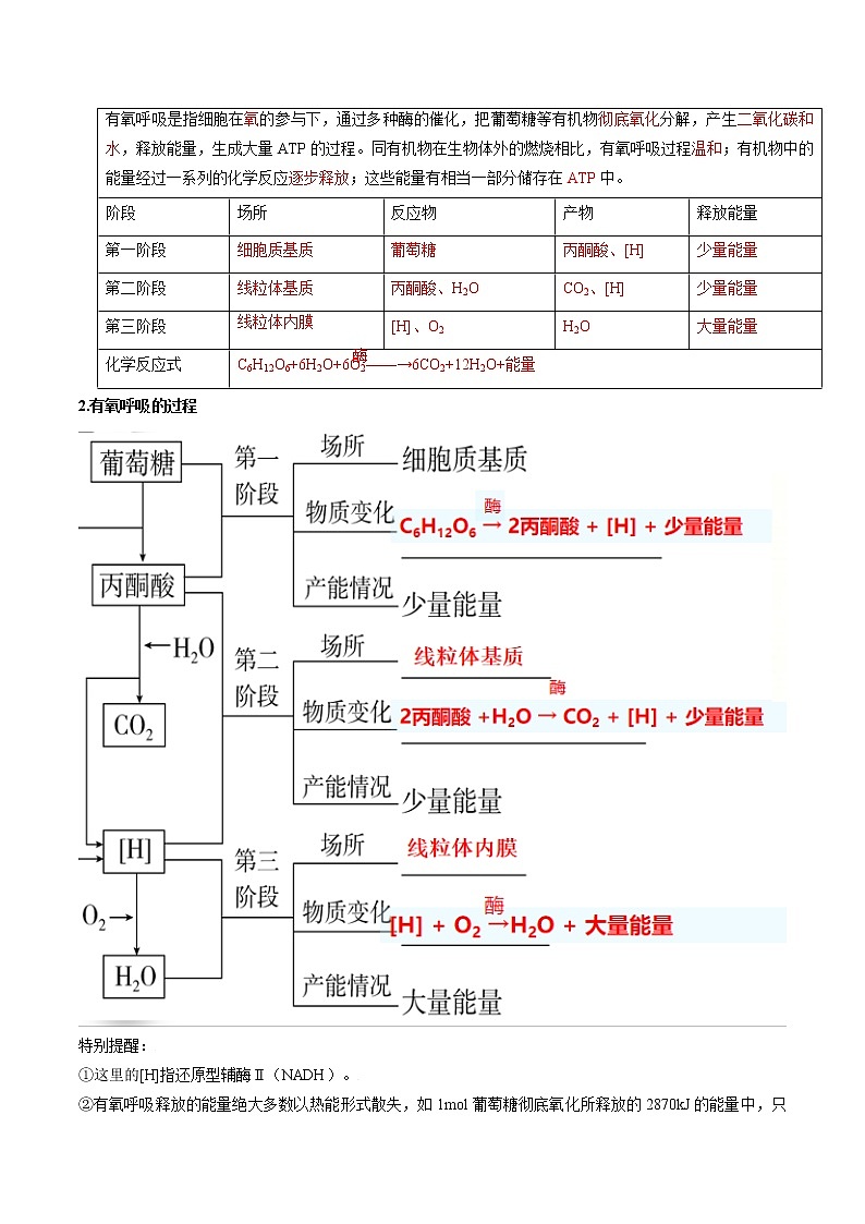 第14讲 细胞呼吸的原理和应用-【暑假自学课】2022年新高一生物暑假精品课（人教版2019必修1） 试卷03