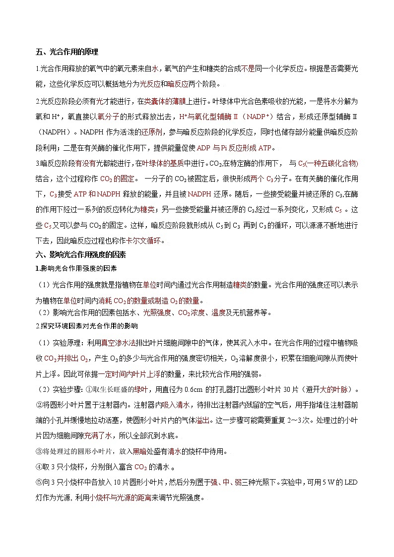 第15讲 光合作用与能量转化-【暑假自学课】2022年新高一生物暑假精品课（人教版2019必修1）（原卷版）第3页