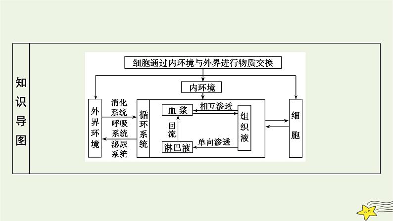 2022-2023学年高中生物新人教版选择性必修1第1章人体的内环境与稳态第1节细胞生活的环境课件第4页