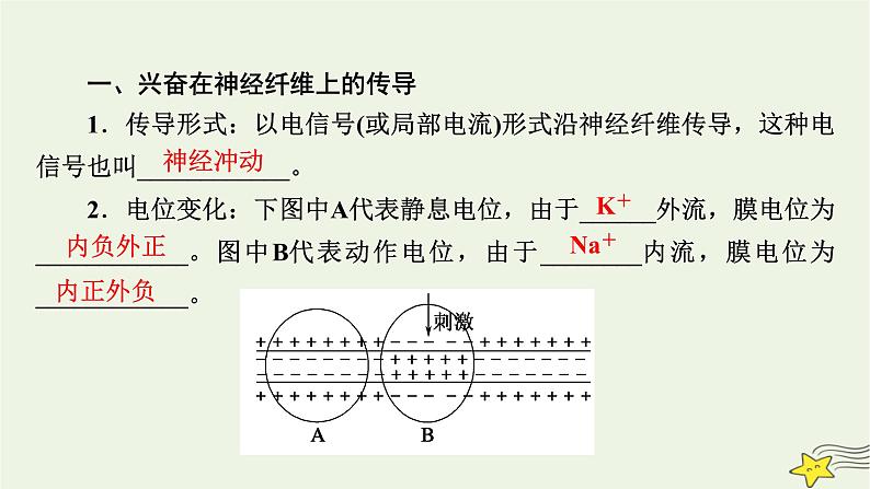 2022-2023学年高中生物新人教版选择性必修1第2章神经调节第3节神经冲动的产生和传导课件第7页