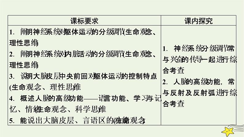 2022-2023学年高中生物新人教版选择性必修1第2章神经调节第4、5节神经系统的分级调节人脑的高级功能课件03