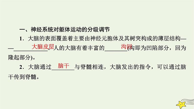 2022-2023学年高中生物新人教版选择性必修1第2章神经调节第4、5节神经系统的分级调节人脑的高级功能课件08