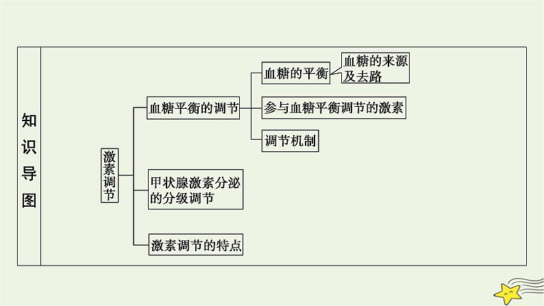 2022-2023学年高中生物新人教版选择性必修1第3章体液调节第2节激素调节的过程课件04