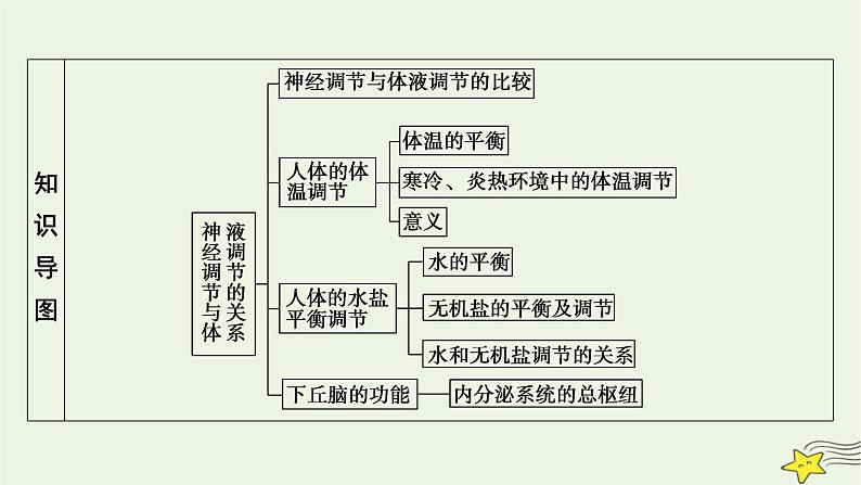 2022-2023学年高中生物新人教版选择性必修1第3章体液调节第3节体液调节与神经调节的关系课件第4页