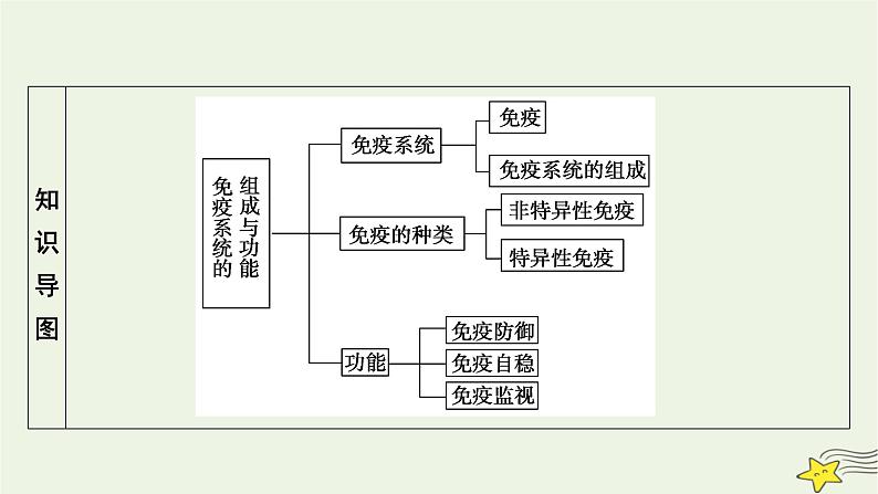 2022-2023学年高中生物新人教版选择性必修1第4章免疫调节第1节免疫系统的组成和功能课件第4页