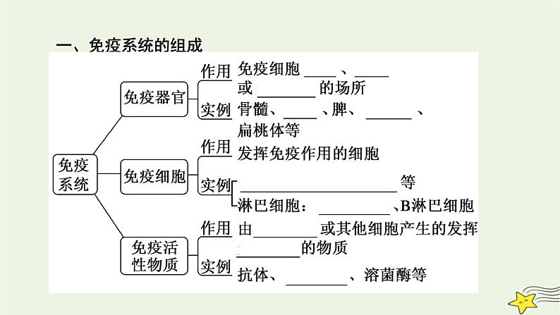 2022-2023学年高中生物新人教版选择性必修1第4章免疫调节第1节免疫系统的组成和功能课件第7页