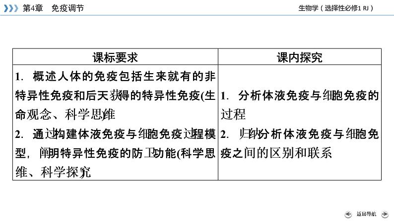 2022-2023学年高中生物新人教版选择性必修1第4章免疫调节第2节特异性免疫课件03