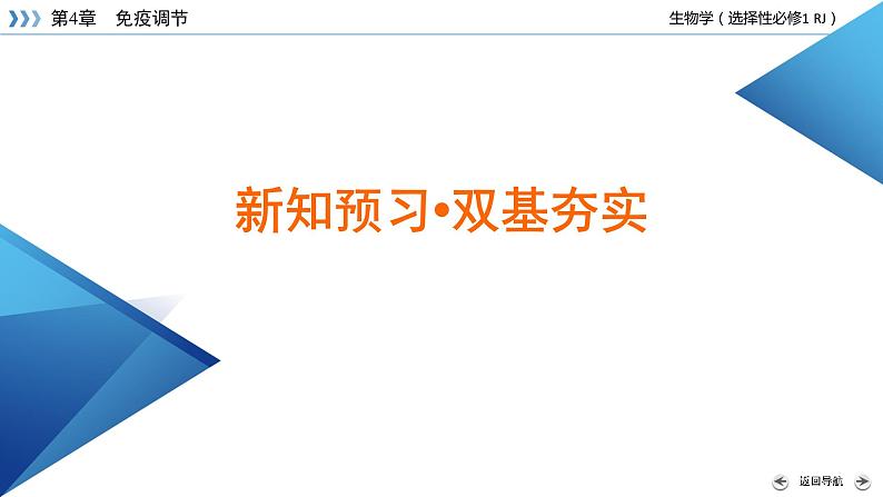 2022-2023学年高中生物新人教版选择性必修1第4章免疫调节第2节特异性免疫课件06