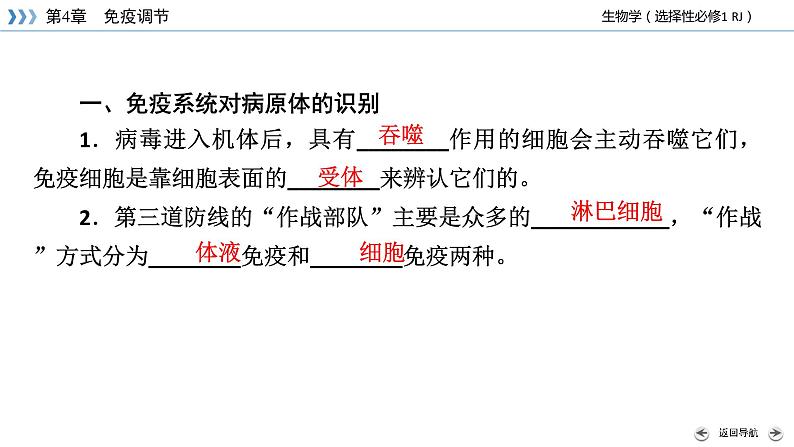 2022-2023学年高中生物新人教版选择性必修1第4章免疫调节第2节特异性免疫课件07