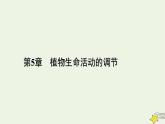 2022-2023学年高中生物新人教版选择性必修1第5章植物生命活动的调节第1节植物生长素课件