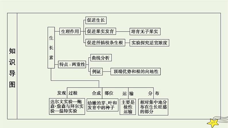 2022-2023学年高中生物新人教版选择性必修1第5章植物生命活动的调节第1节植物生长素课件04