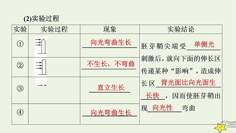 2022-2023学年高中生物新人教版选择性必修1第5章植物生命活动的调节第1节植物生长素课件08