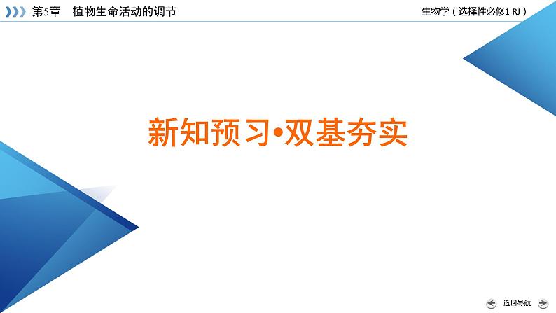 2022-2023学年高中生物新人教版选择性必修1第5章植物生命活动的调节第2节其他植物激素课件第6页