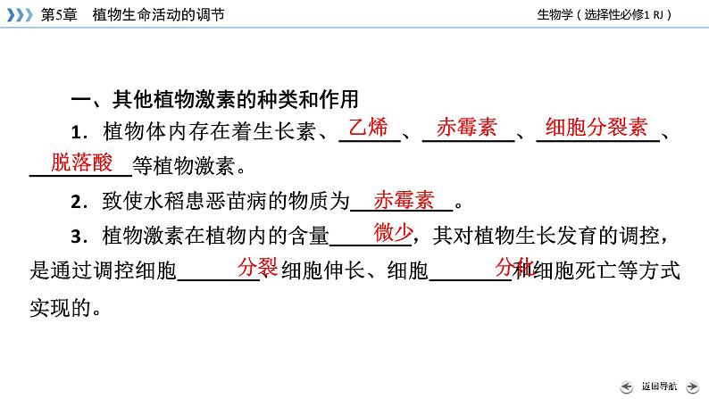 2022-2023学年高中生物新人教版选择性必修1第5章植物生命活动的调节第2节其他植物激素课件第7页