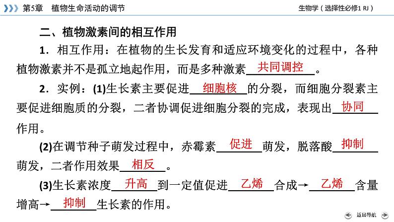 2022-2023学年高中生物新人教版选择性必修1第5章植物生命活动的调节第2节其他植物激素课件第8页