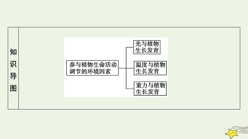 2022-2023学年高中生物新人教版选择性必修1第5章植物生命活动的调节第4节环境因素参与调节植物的生命活动课件04