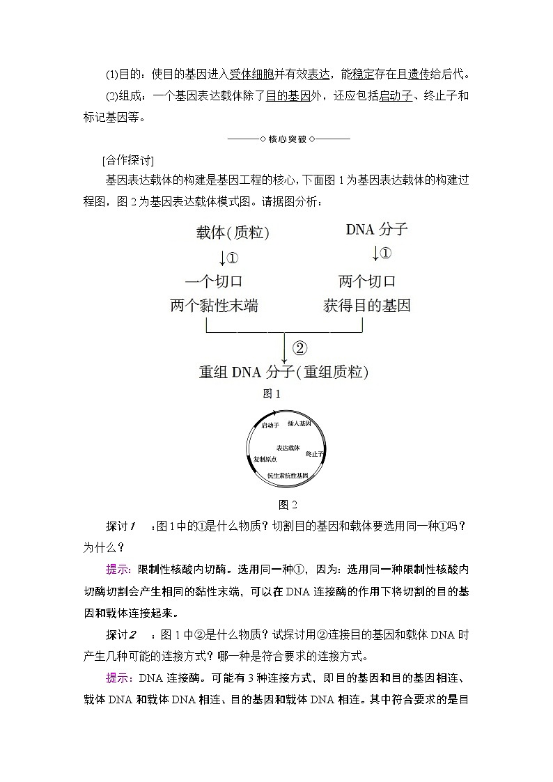苏教版高中生物选修三 第1章-第1节-第2课时教案02