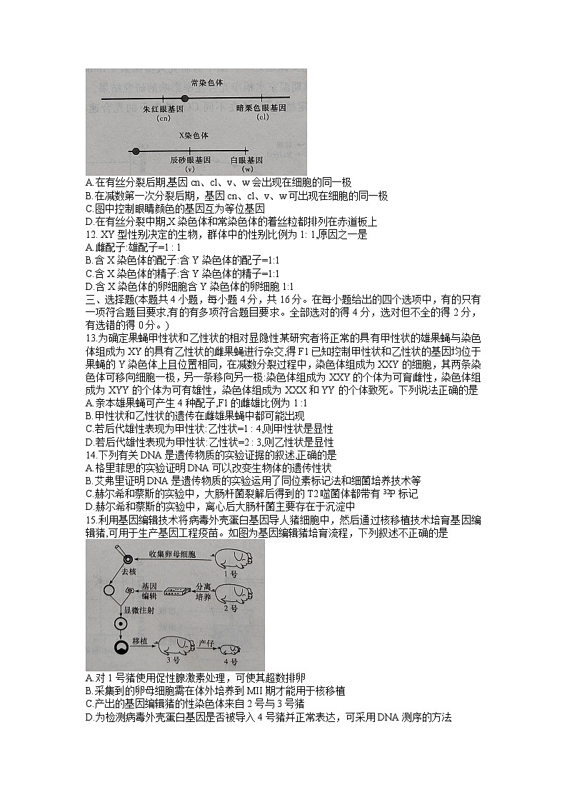 2022长沙长郡中学高二下学期期末考试生物含答案03
