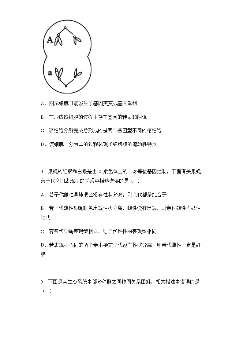 2022届山西省大同、阳泉市高三二模理综生物试题含解析02